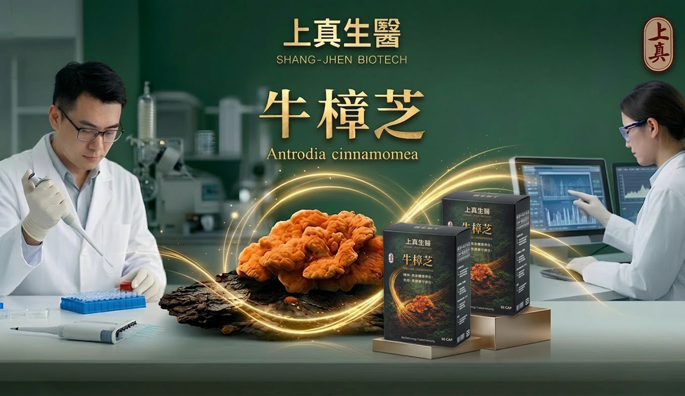 上真生醫 牛樟芝 森林紅寶石