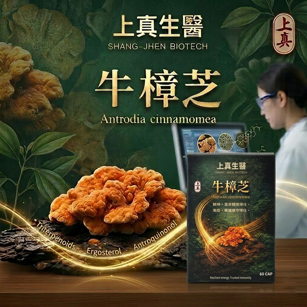 【上真牛樟，守護至真】牛樟芝森林紅寶石